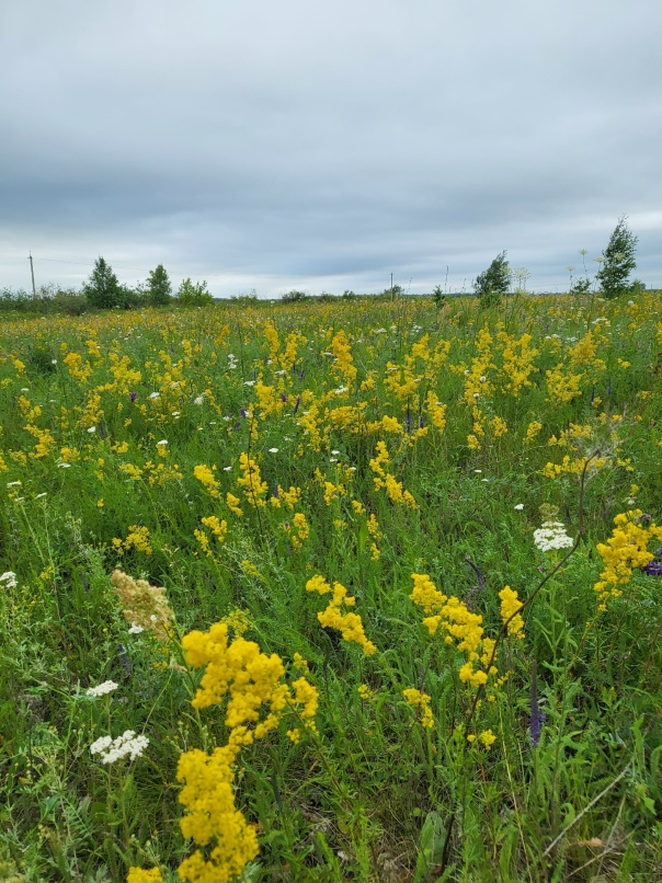 Юля Иванова | Курган