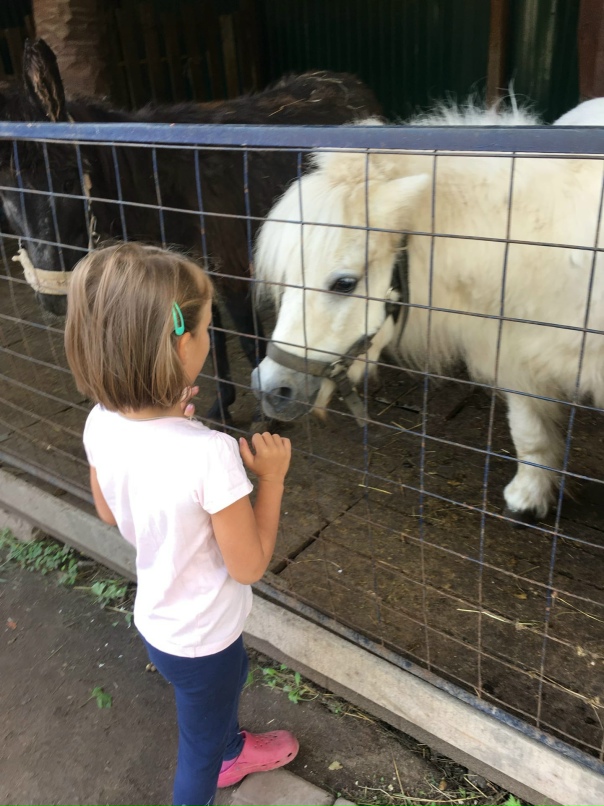 Наталья Куркова | Санкт-Петербург