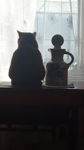 Галина Чернышова | Тольятти