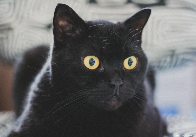 Данила Андреев | Malmö