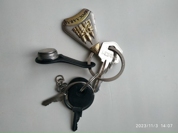 Чья потеряшка?