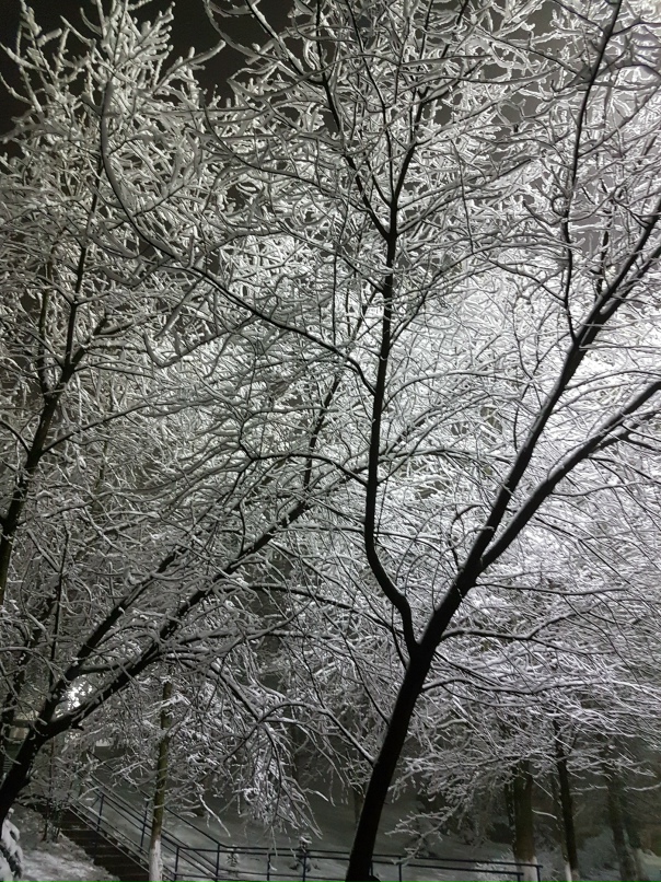 Татьяна Котлярова | Железногорск