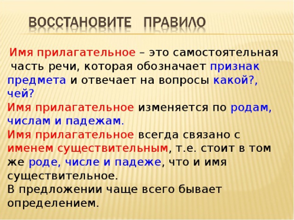 Что обозначает имя прилагательное в предложении