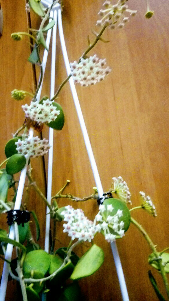 Марина Ситникова | Уфа