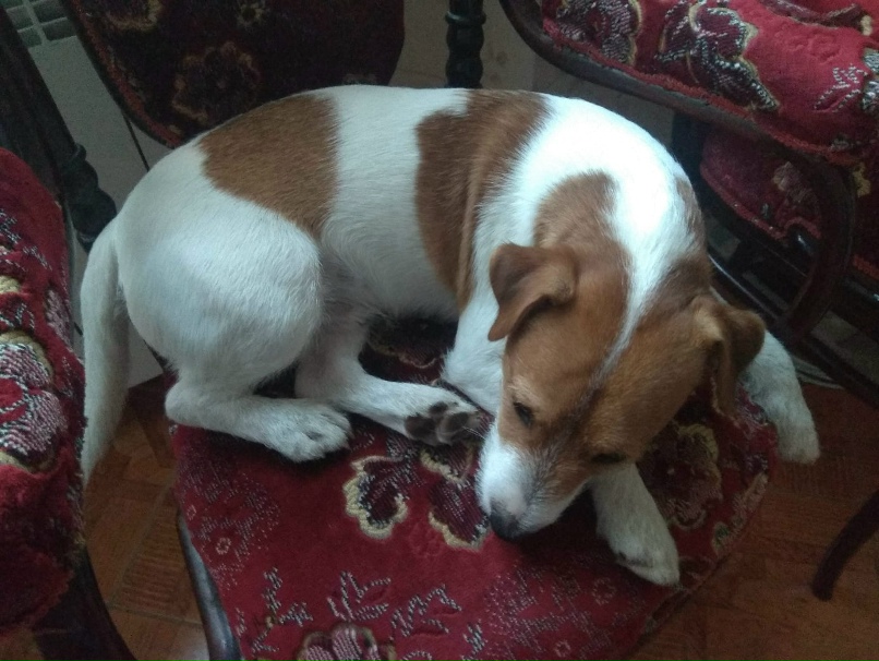 Оксана Овечкина | Санкт-Петербург