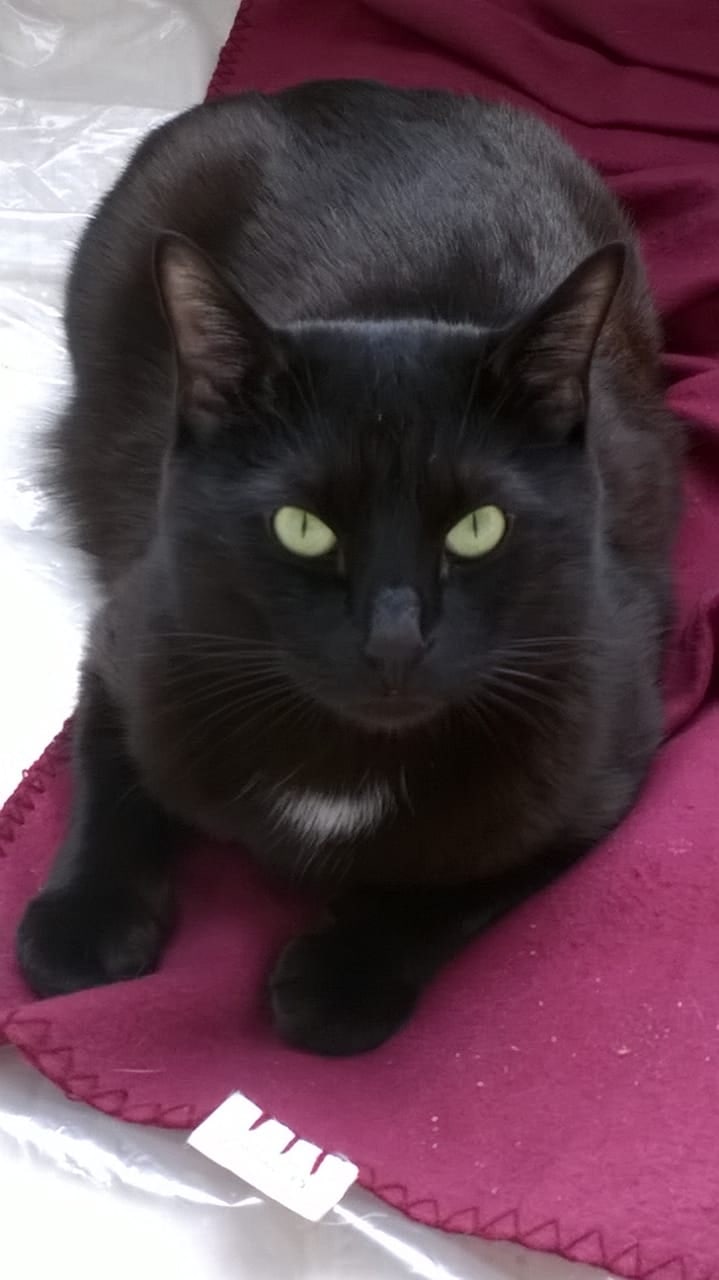 Ирина Курочкина | Москва