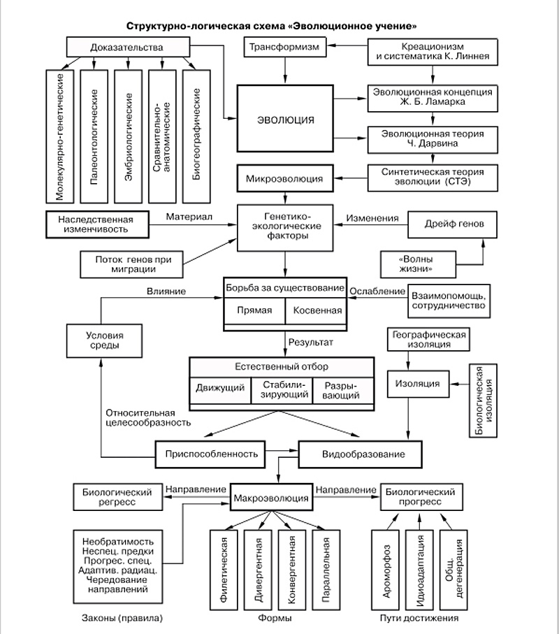 Структурно-логическая схема изучаемого материала - Студопедия