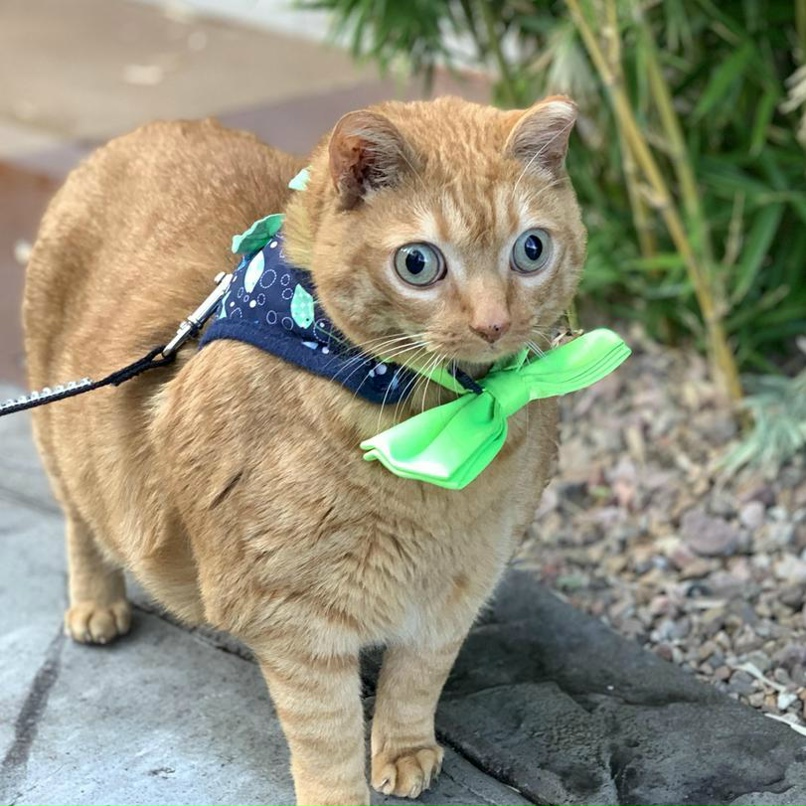 Андрей Изосимов | Пермь