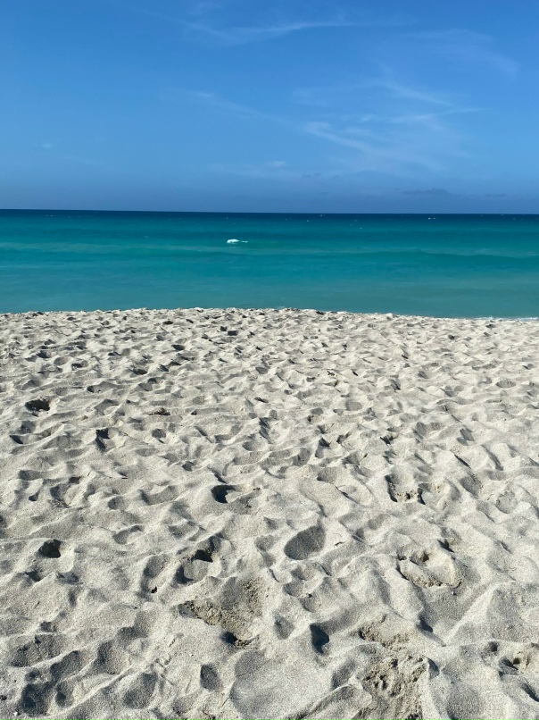 Александр Бочаров | Сергиев Посад