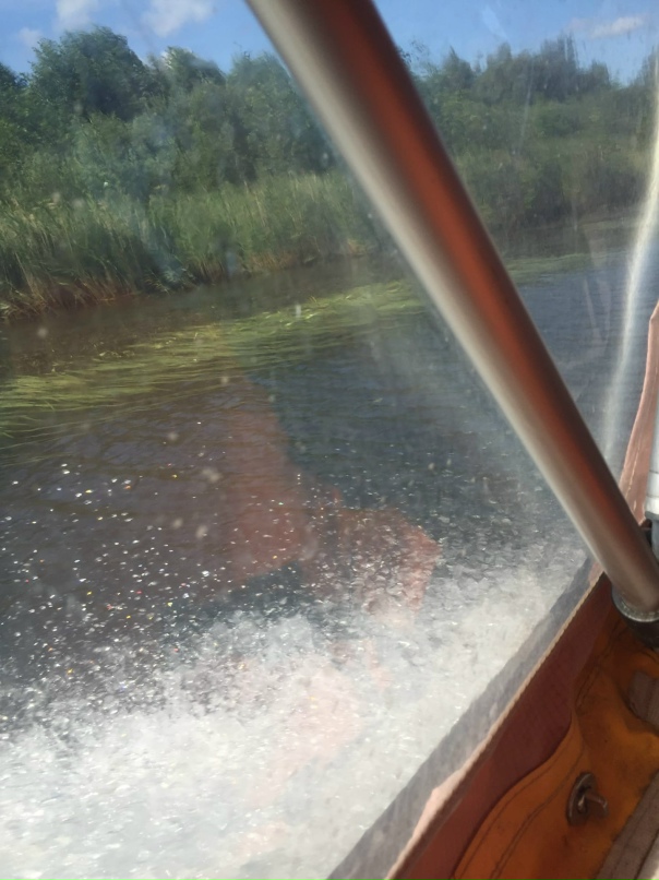 Ольга Власенко | Псков