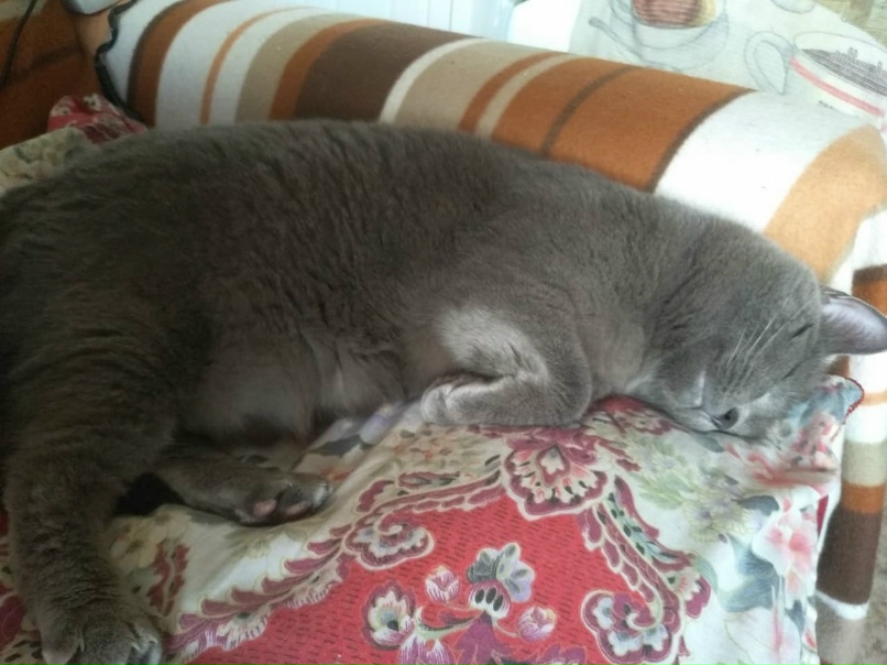 Ольга Титова | Великий Новгород