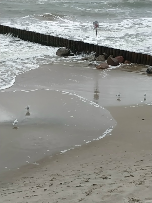 Анна Попова aka ПАПА | Балашиха