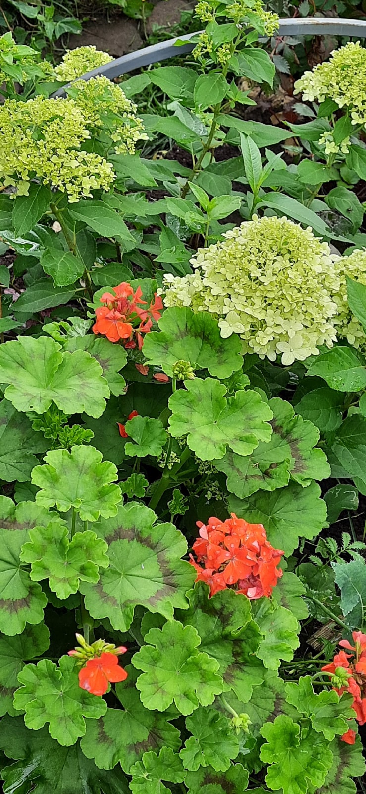 Наталья Котова | Калуга