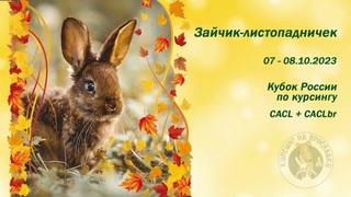 Уиппеты EMPYREAN BLUE (к) и EMERALD OF MY SOUL (б)
