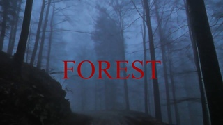 Finalblaze  Forest