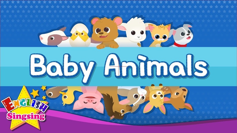 Kids vocabulary Baby Animals Learn English for kids English educational