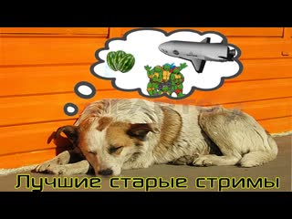 Лучшие стримы Давга #3 Книга Давга, сны: 3 арбуза, 4 черепашки ниндзя, космос, спасение ребёнка
