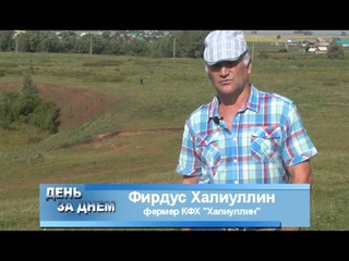 День за днем. В Краснокамском районе развивается овцеводство