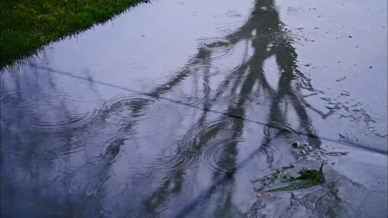 Видео от Shamim