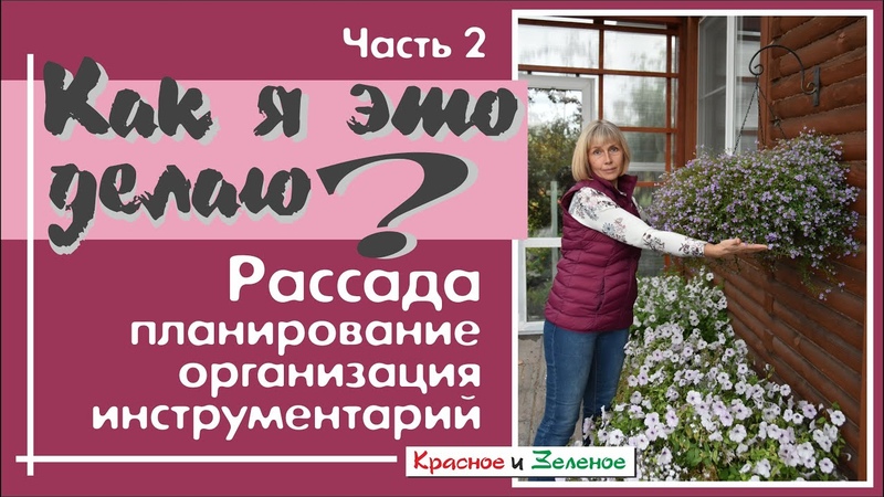 Чем я пользуюсь при выращивании рассады. Часть