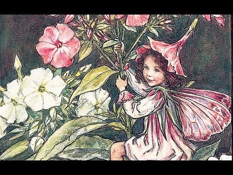 Cicely Mary