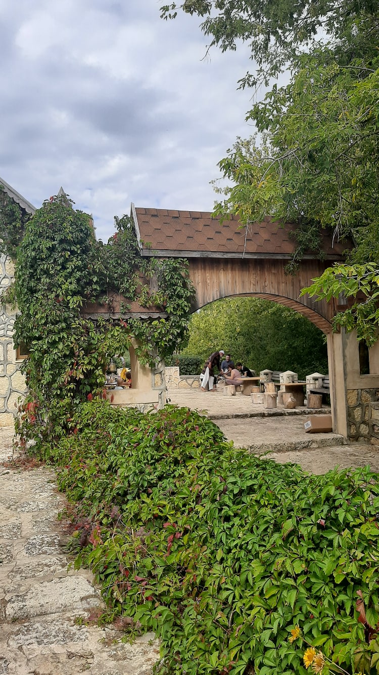 Елена Литвина | Липецк