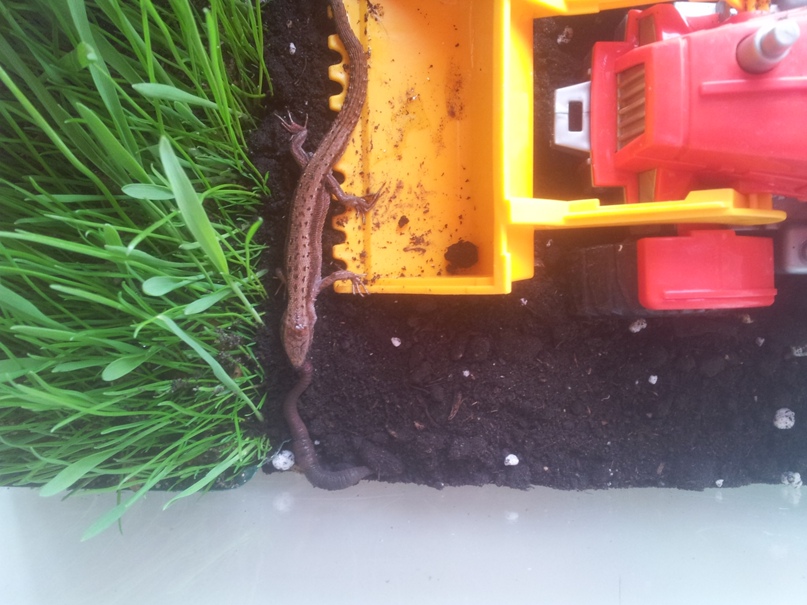 Артем Кошелев | Красноярск