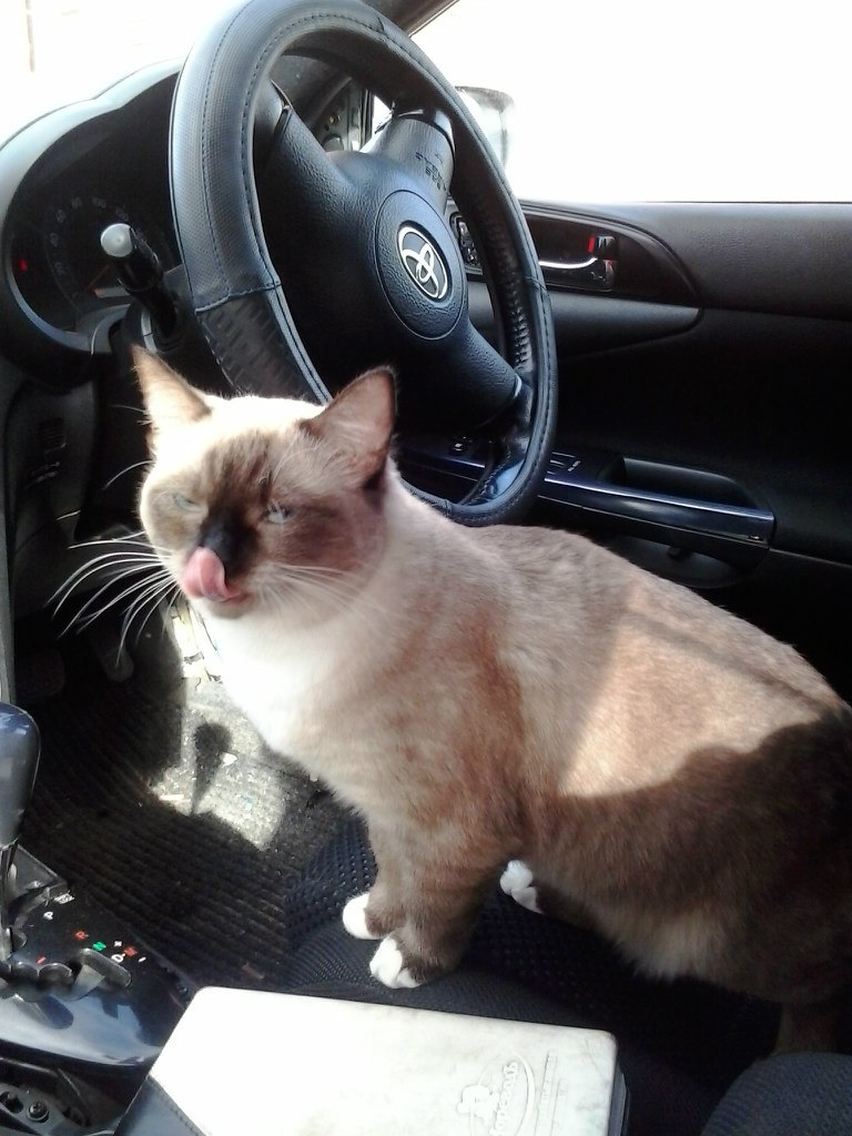 Валентина Базарова михайловна | Чегдомын