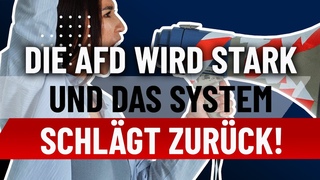 Die AfD wird stark und das System schlgt zurck!
