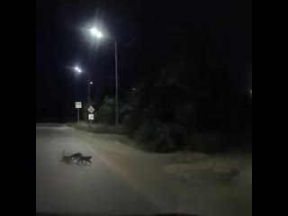 jokЕР