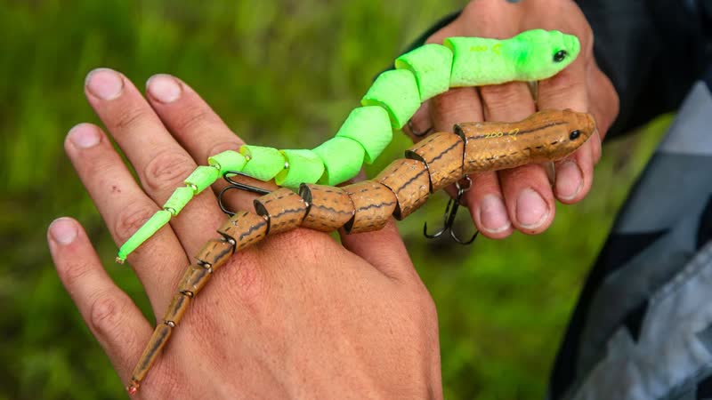 Мощные поклёвки на ЗМЕЙ крупным планом Fishing for snakes