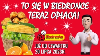 BIEDRONKA | Oferta Promocyjna od Czwartku  | To si w Biedronce Teraz Opaca !