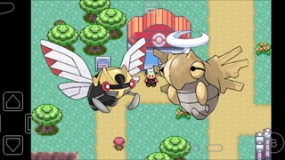 Как поймать Нинджаска и Шединдзю в Pokemon emerald