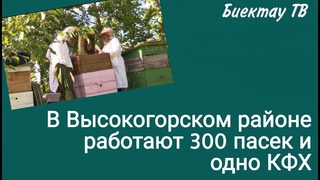 В Высокогорском районе работают 300 пасек и одно КФХ