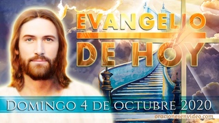 Evangelio de HOY. Domingo 4 de octubre 2020 Parbola de los viadores homicidas