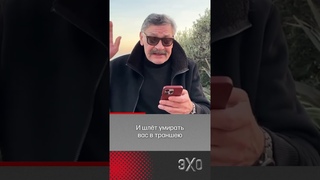 Новое стихотворение актера и поэта Дмитрия Назарова