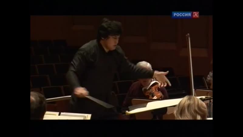 Палка Документальный