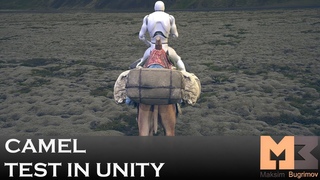 Camel Unity Test